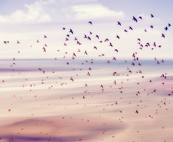 Derecho de Laboral - Vila Ruiz Despacho Jurídico